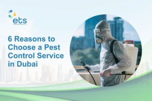 Read more about the article 6 Reasons to Choose a Pest Control Service in Dubai