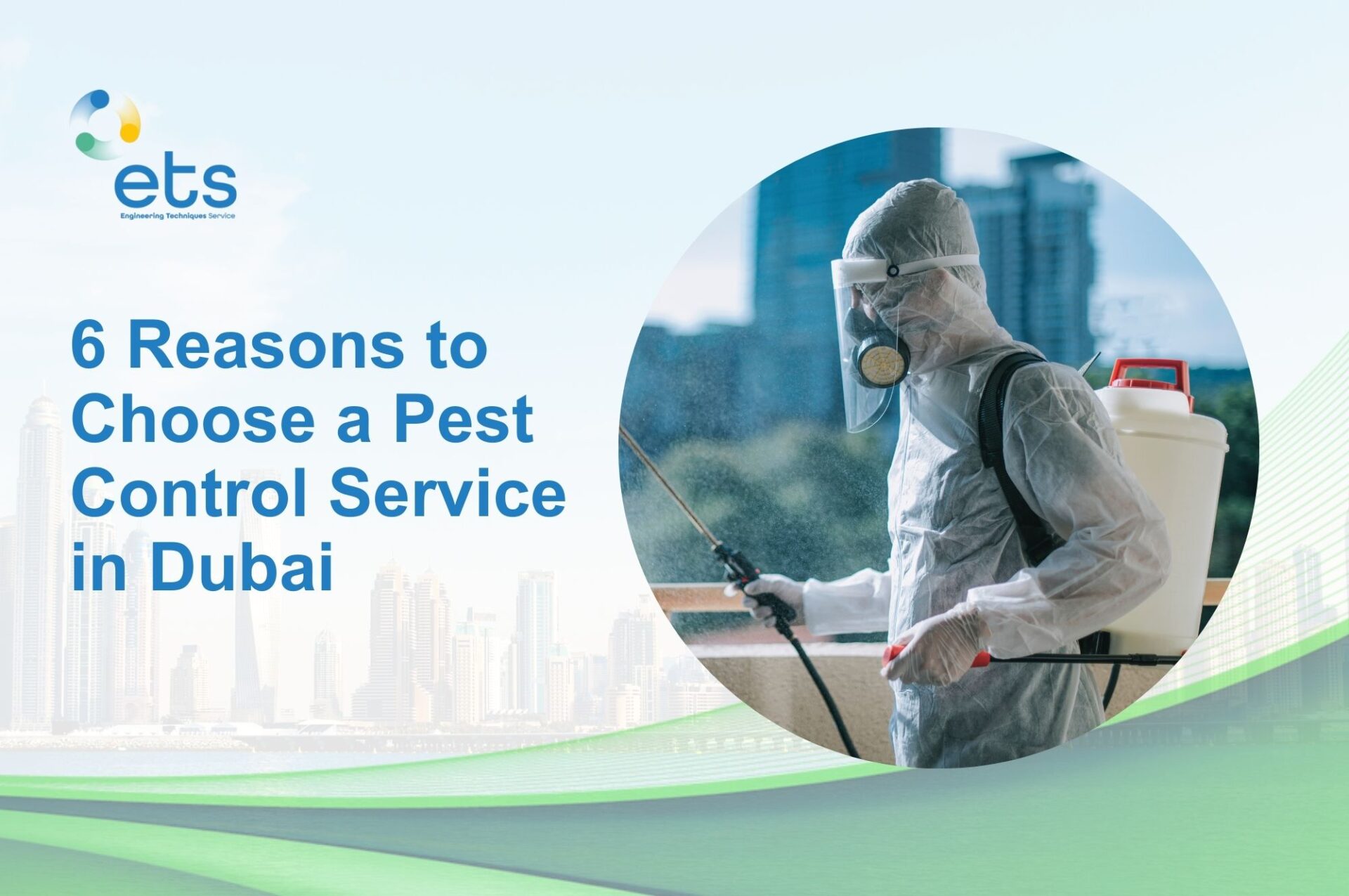You are currently viewing 6 Reasons to Choose a Pest Control Service in Dubai