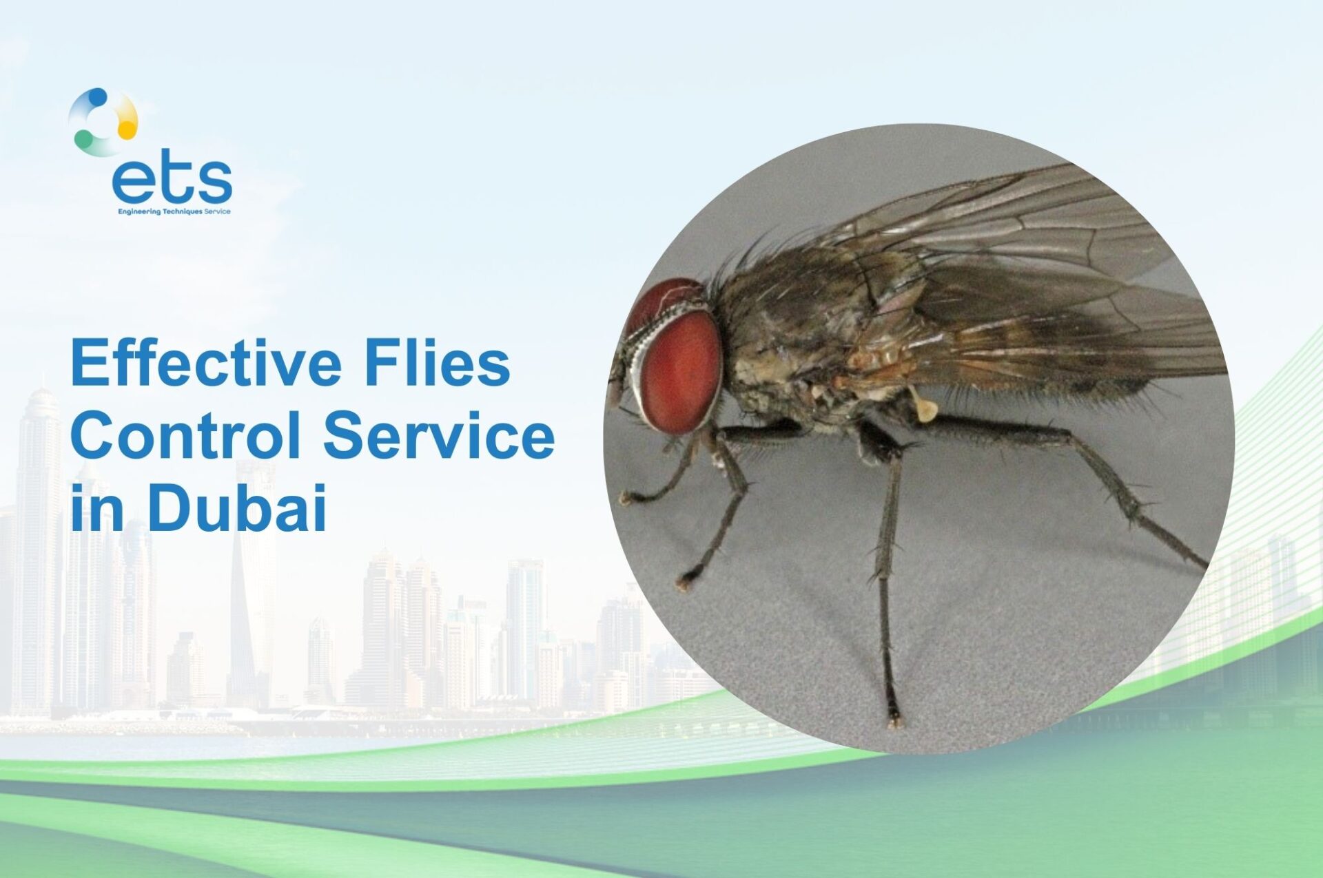 You are currently viewing Effective Flies Control Service in Dubai