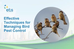 Read more about the article Effective Techniques for Managing Bird Pest Control