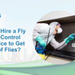 Why Hire a Fly Pest Control Service to Get Rid of Flies?