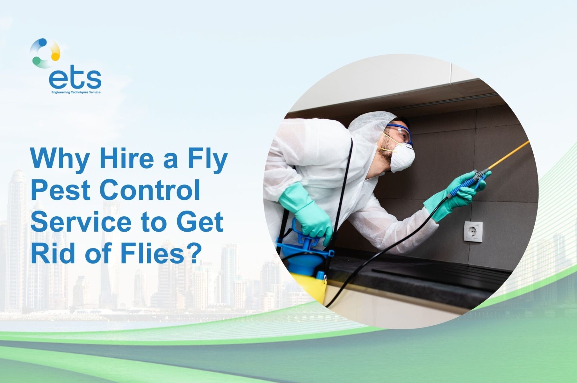 You are currently viewing Why Hire a Fly Pest Control Service to Get Rid of Flies?