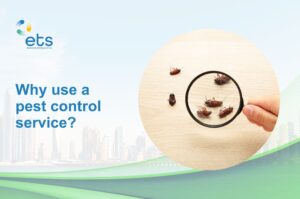 Why-use-a-pest-control-service-ETS-UAE