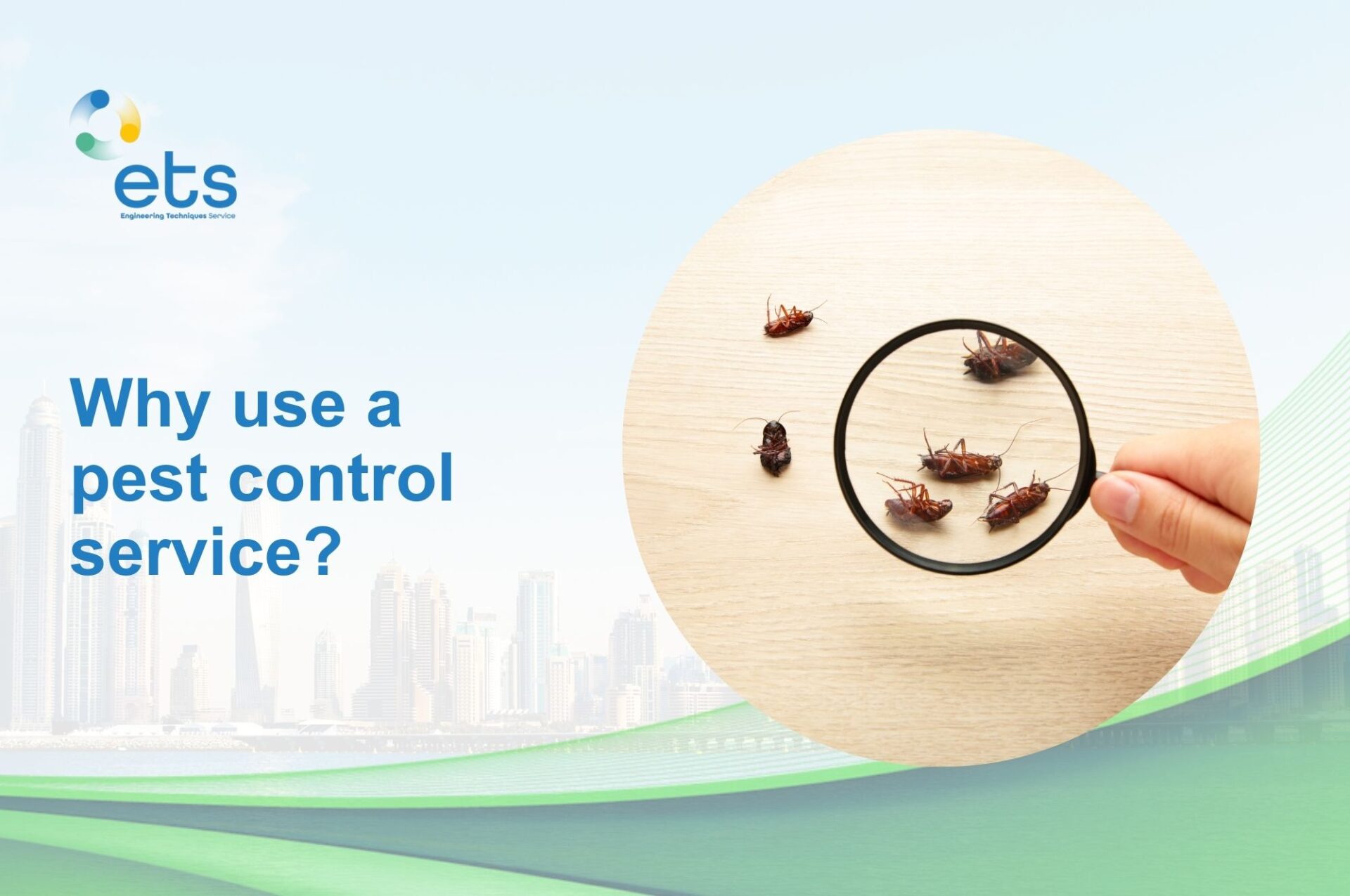 You are currently viewing Why use a Pest Control Service?