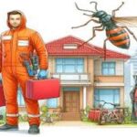 Reasons to Take Commercial Pest Control Seriously