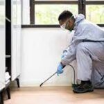 The Reasons Commercial Pest Control Is a Needed Investment for Your Company