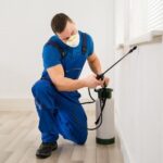 Get Rid of Stubborn Pests with ETS Pest Control Services