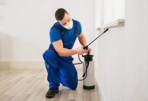 Read more about the article Get Rid of Stubborn Pests with ETS Pest Control Services