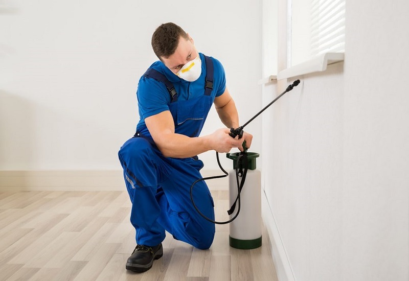 You are currently viewing Get Rid of Stubborn Pests with ETS Pest Control Services